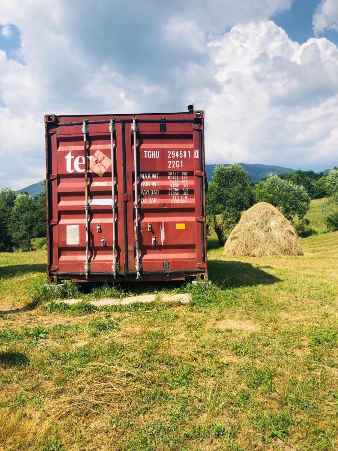 La Container Curtea De Arges